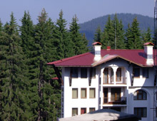 Roof and finishing details of mountain hotel 1